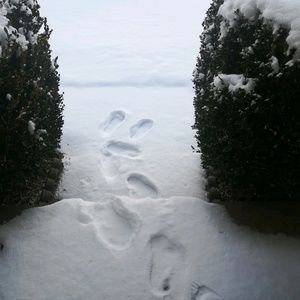 Meet your Posher, Ann